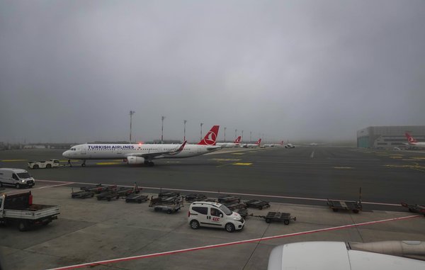 Quels sont les conseils pour un camping en forêt dense en été?